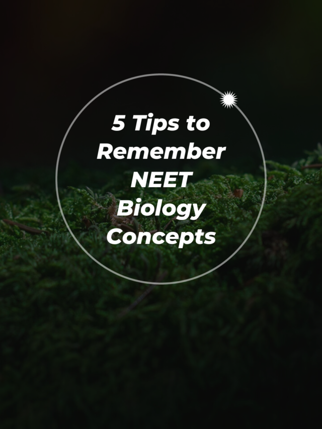 Add a subheading (17)